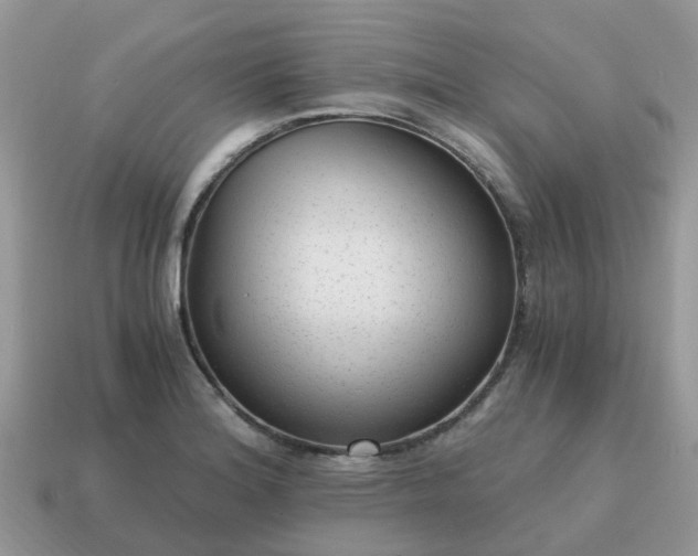 X0000115041180200911091358