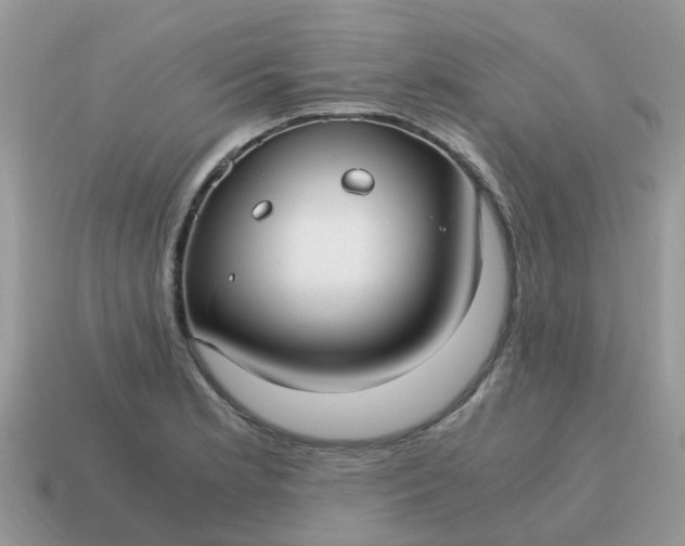 X0000115041181200911091358