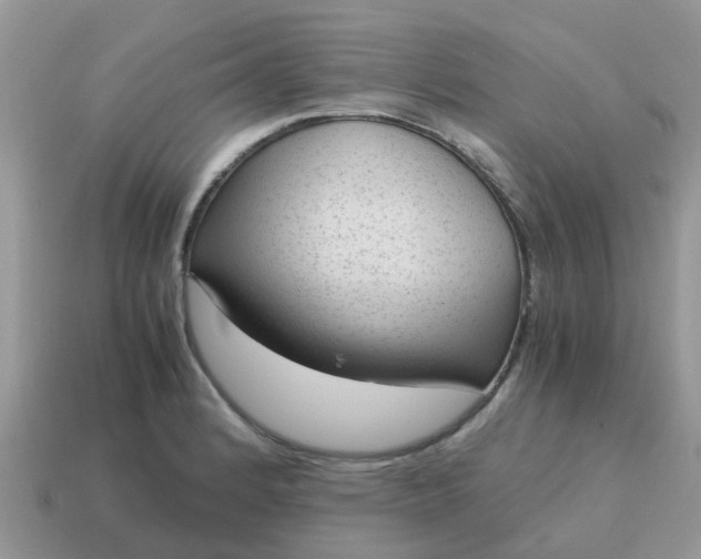 X0000115041184200911091358