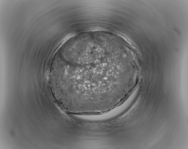 X0000115041185200911091358