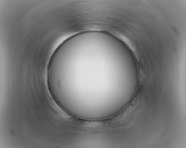 X0000115041187200911091358