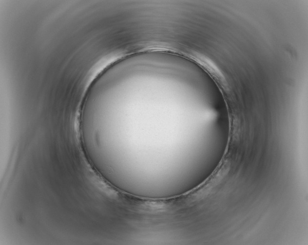 X0000115041190200911091358