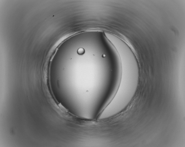 X0000115041195200911091358