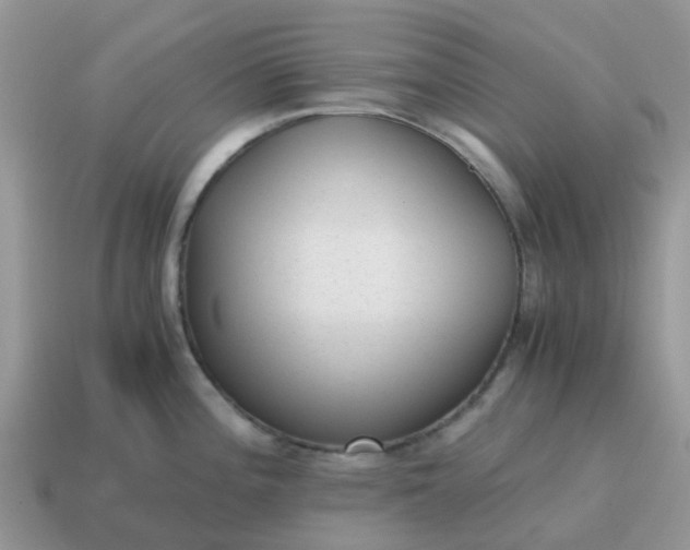 X0000115041196200911091358