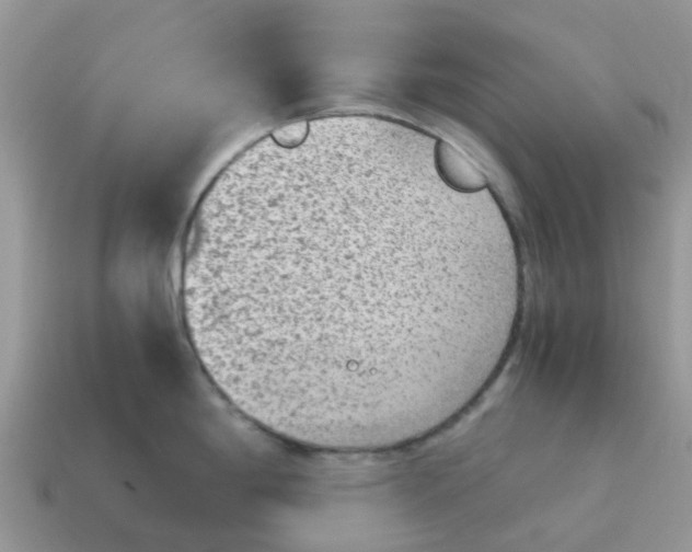 X0000115041198200911091358