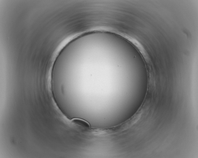X0000115041199200911091358