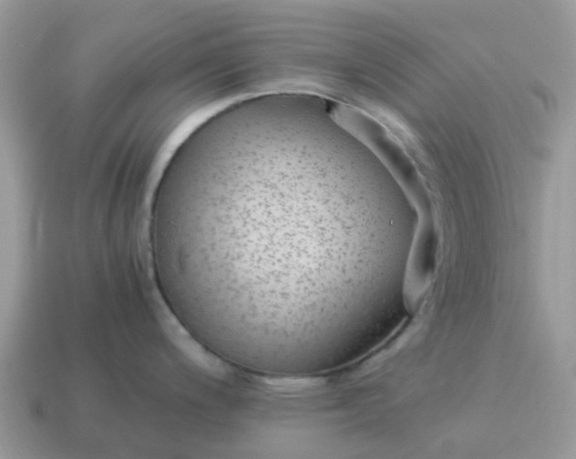 X0000115041200200911091358