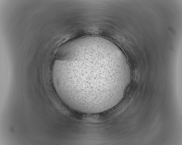 X0000115041201200911091357