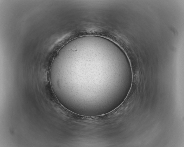 X0000115041205200911091357