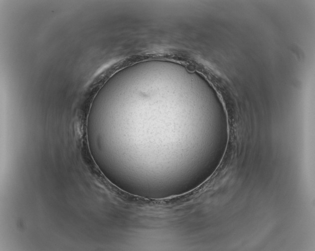 X0000115041206200911091357