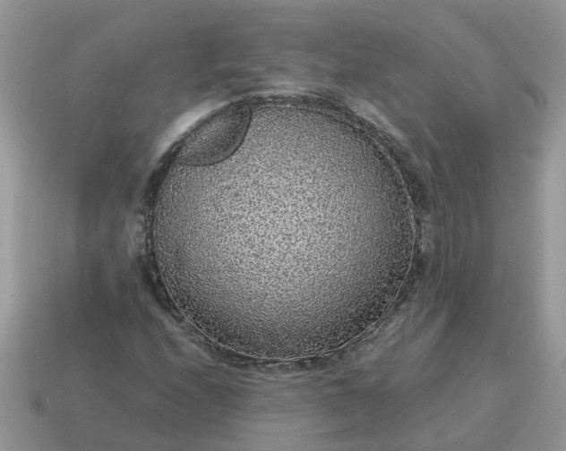X0000115041208200911091357