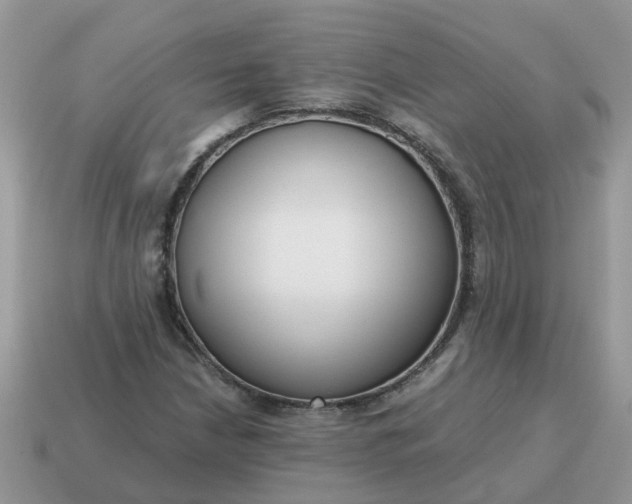 X0000115041210200911091357