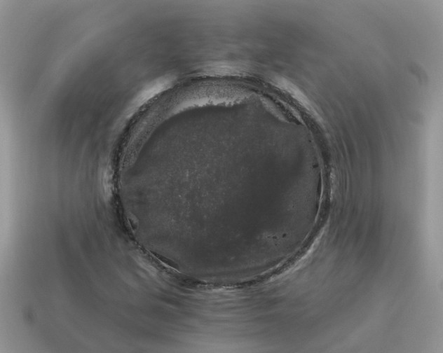 X0000115041213200911091357