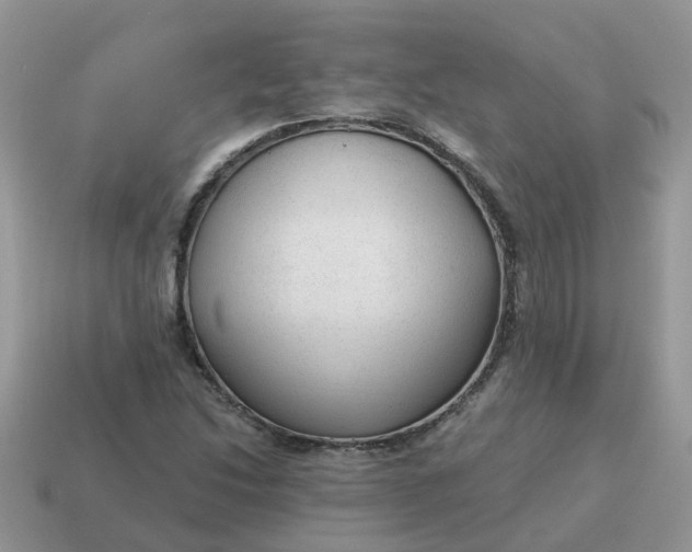 X0000115041214200911091357