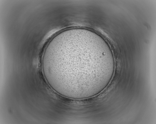 X0000115041215200911091357