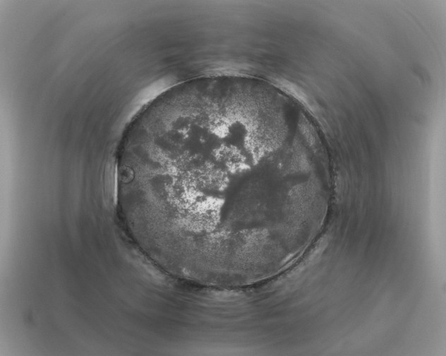 X0000115041219200911091357
