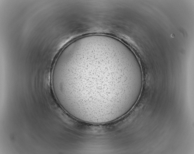 X0000115041220200911091357