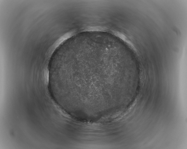 X0000115041221200911091357