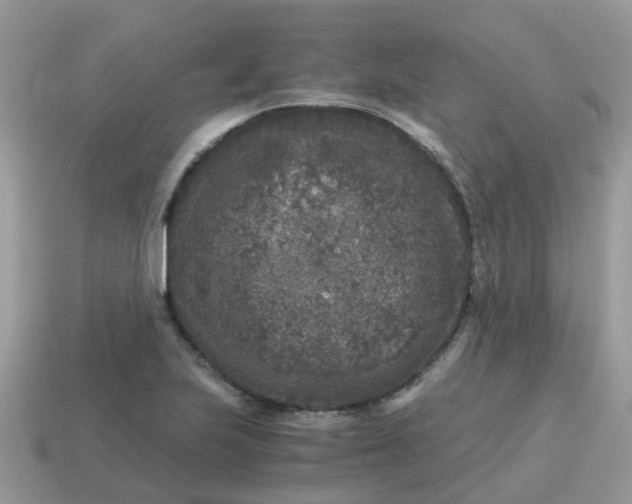 X0000115041223200911091357