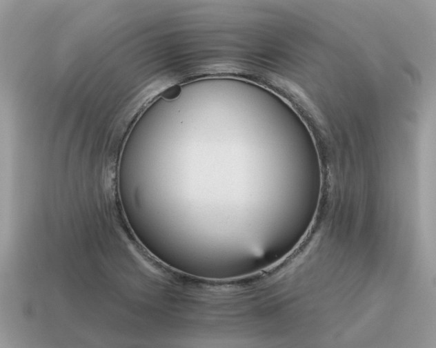 X0000115041225200911091357