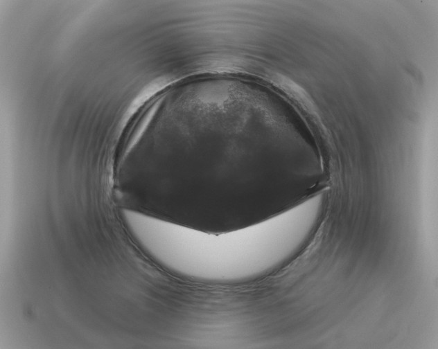 X0000115041226200911091357