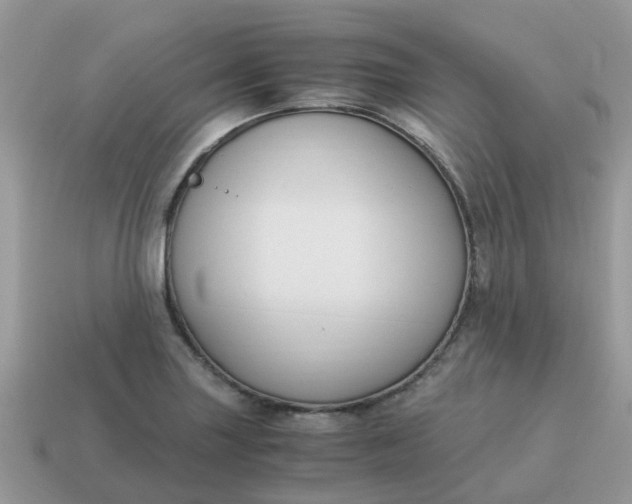 X0000115041227200911091357