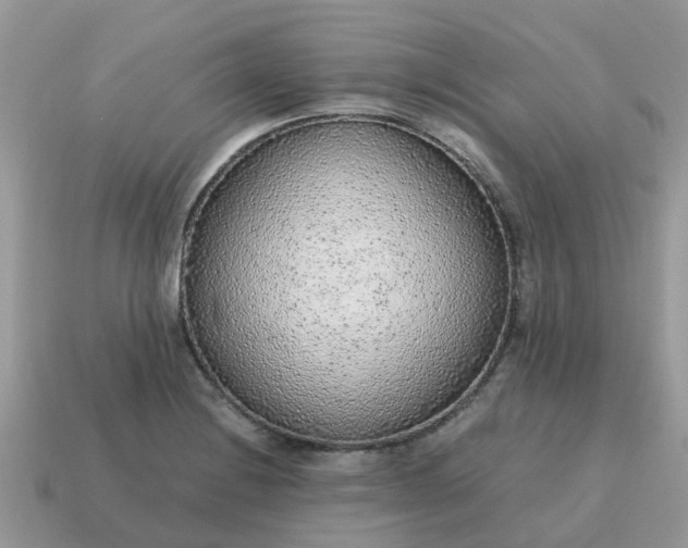 X0000115041228200911091357