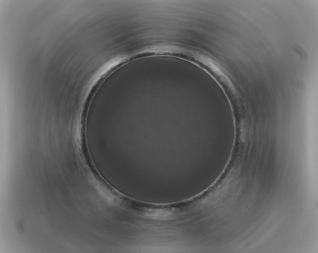 X0000115041229200911091357