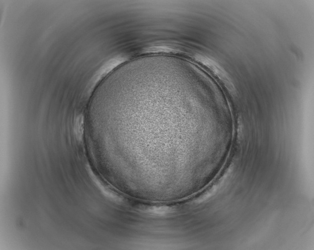 X0000115041233200911091357