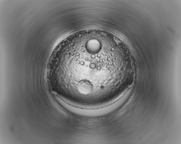 X0000115041234200911091357