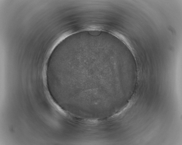 X0000115041235200911091357