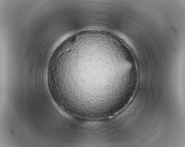 X0000115041237200911091357