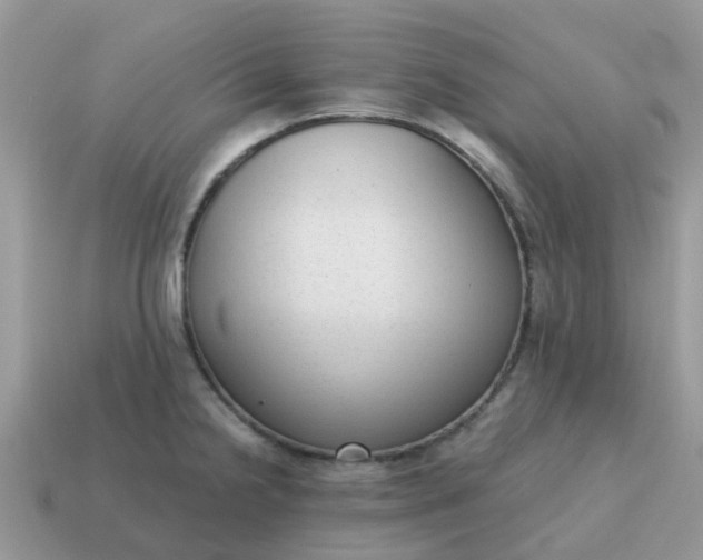 X0000115041238200911091357