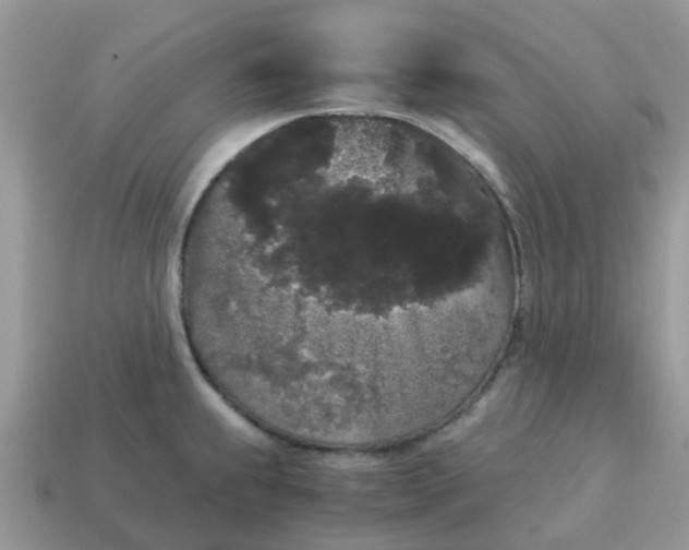 X0000115041239200911091357
