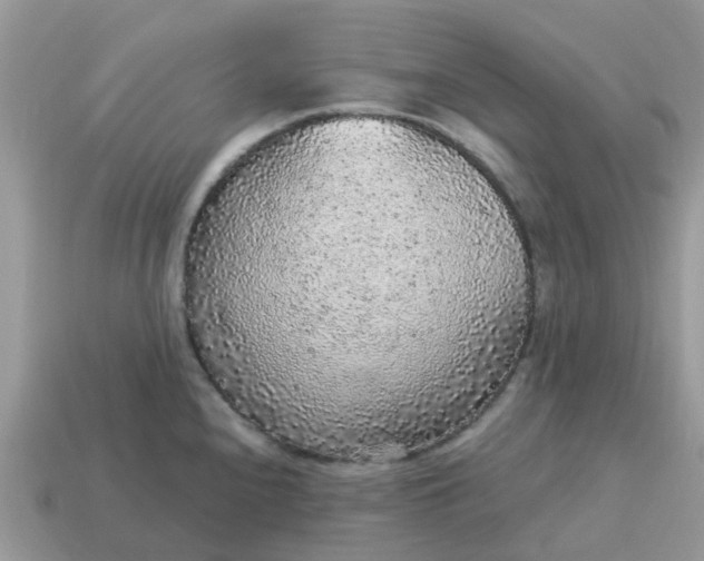 X0000115041240200911091357