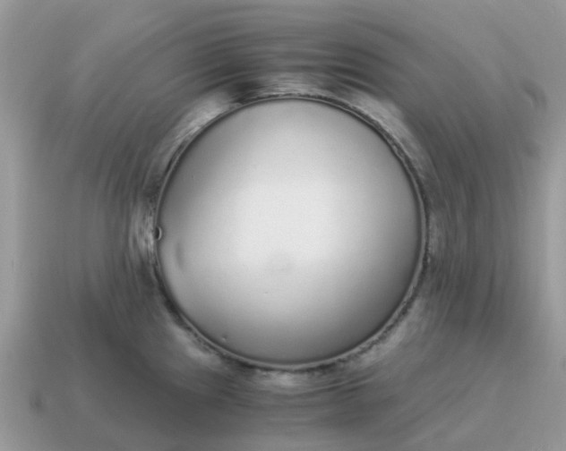 X0000115041241200911091358