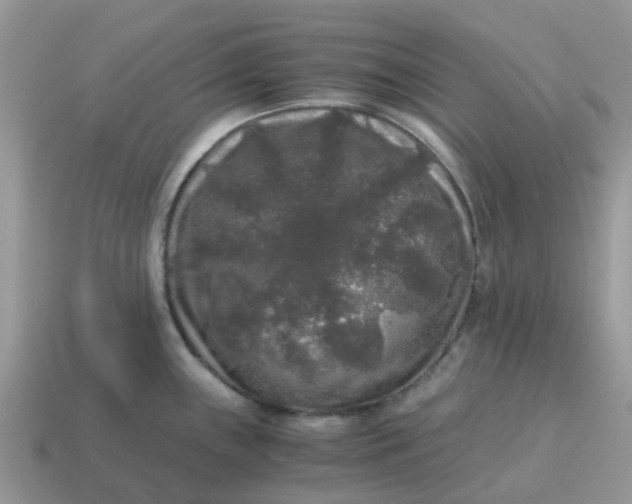 X0000115041243200911091358