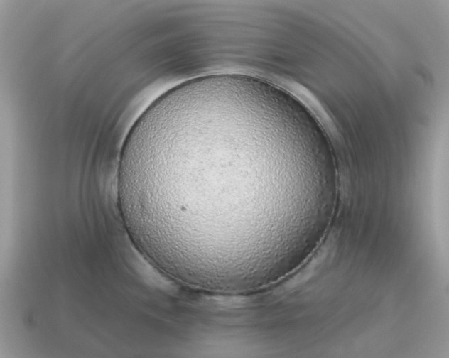 X0000115041244200911091358