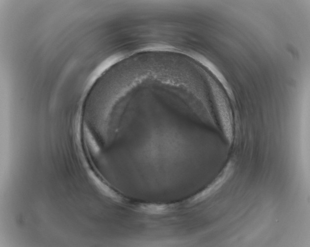 X0000115041245200911091358
