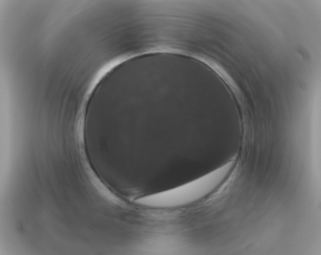 X0000115041246200911091358
