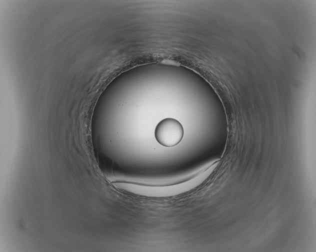 X0000115041249200911091357