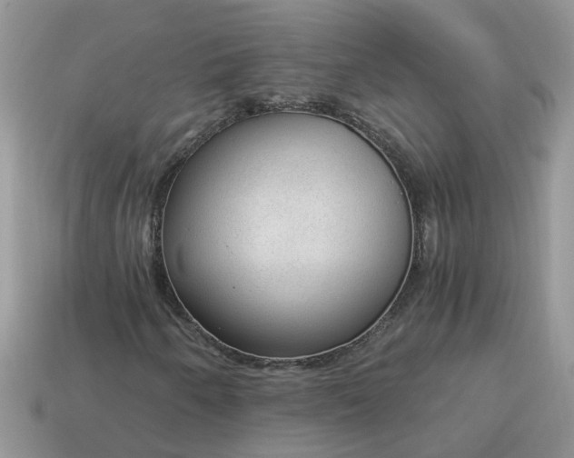 X0000115041250200911091357