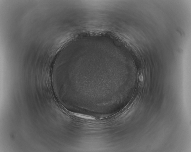X0000115041252200911091357