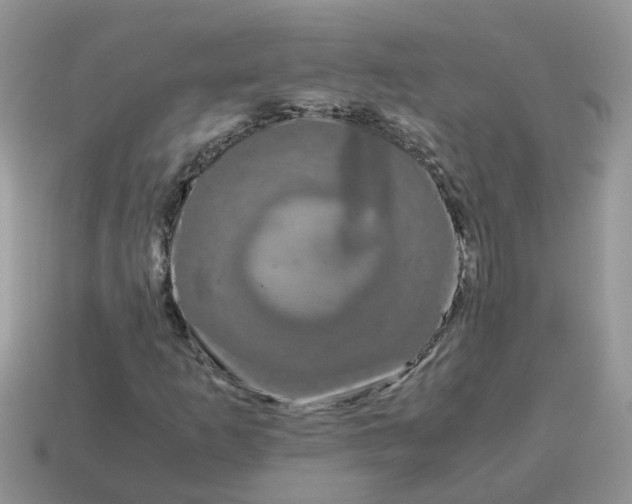 X0000115041253200911091357
