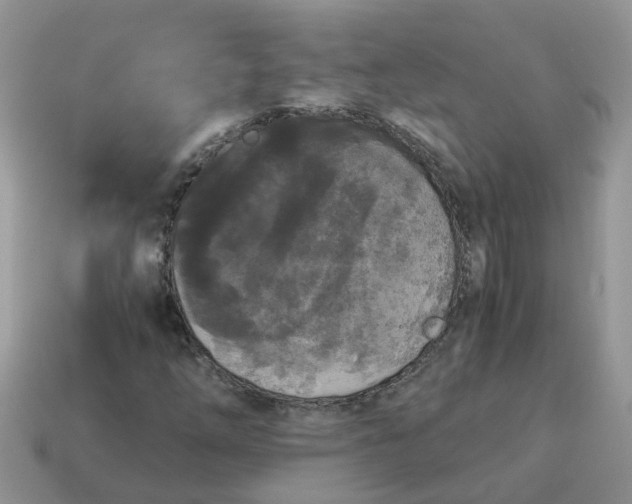 X0000115041254200911091357