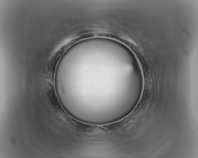 X0000115041255200911091357