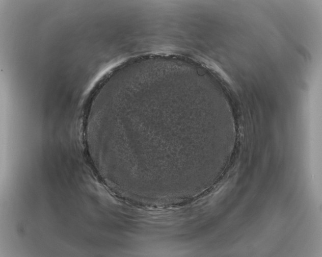 X0000115041256200911091357