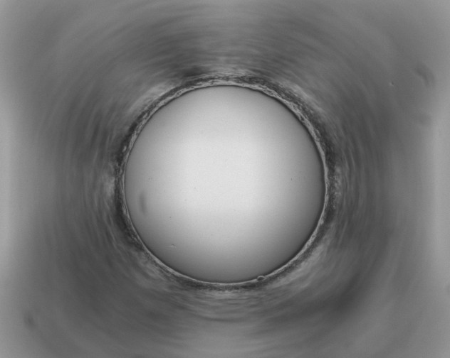 X0000115041257200911091357