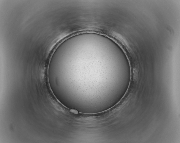 X0000115041260200911091357