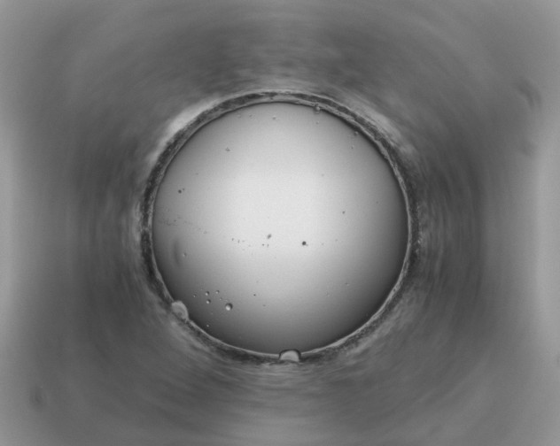 X0000115041264200911091357